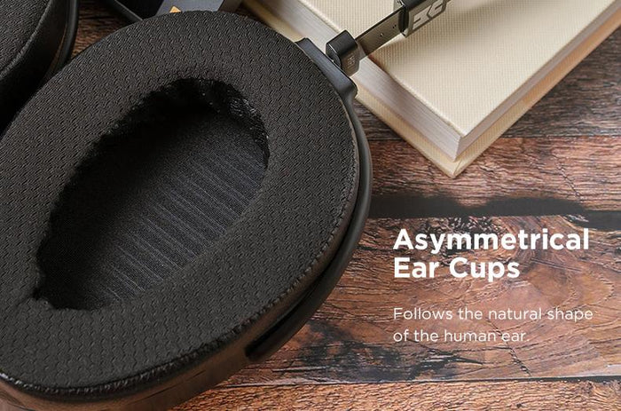 HIFIMAN  Audiophiles/Studio Arya Stealth FS Over Ear Magnetic Planar Headphone